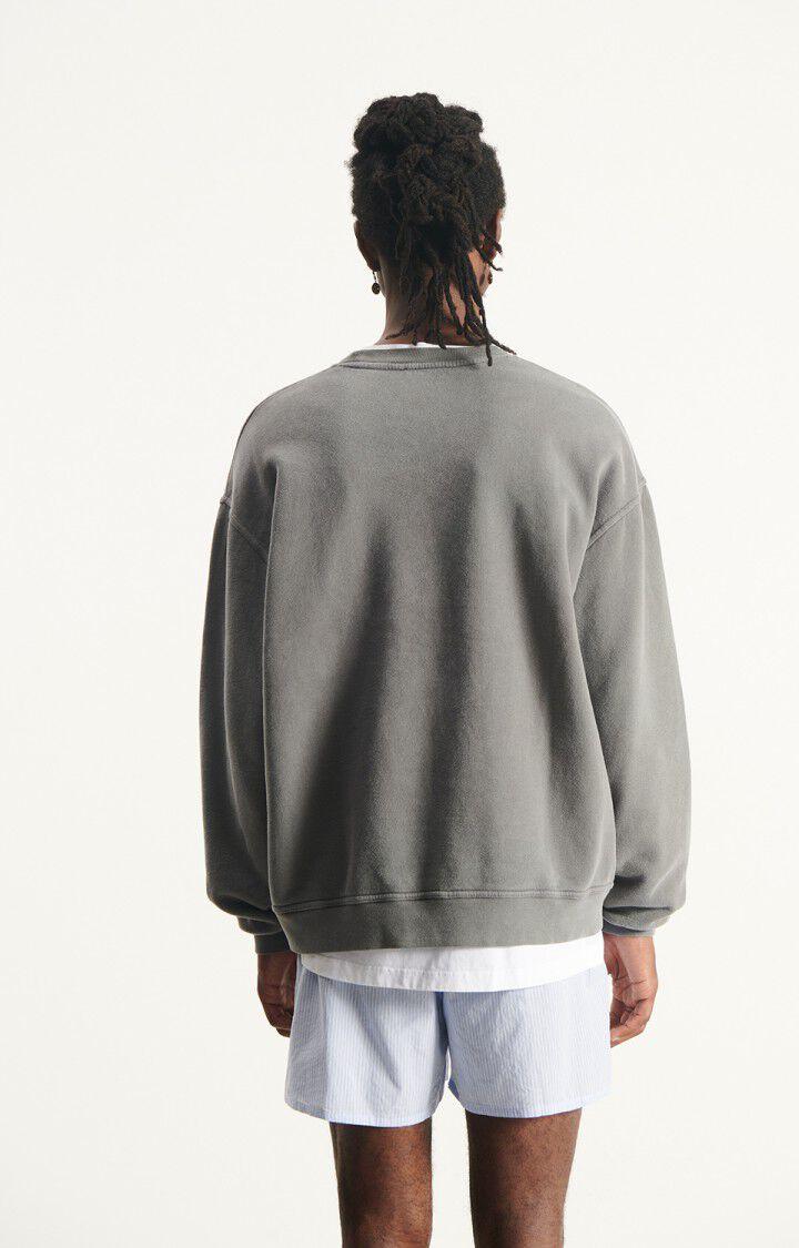American Vintage Plizzy Sweatshirt Herren grau – Produktansicht 2